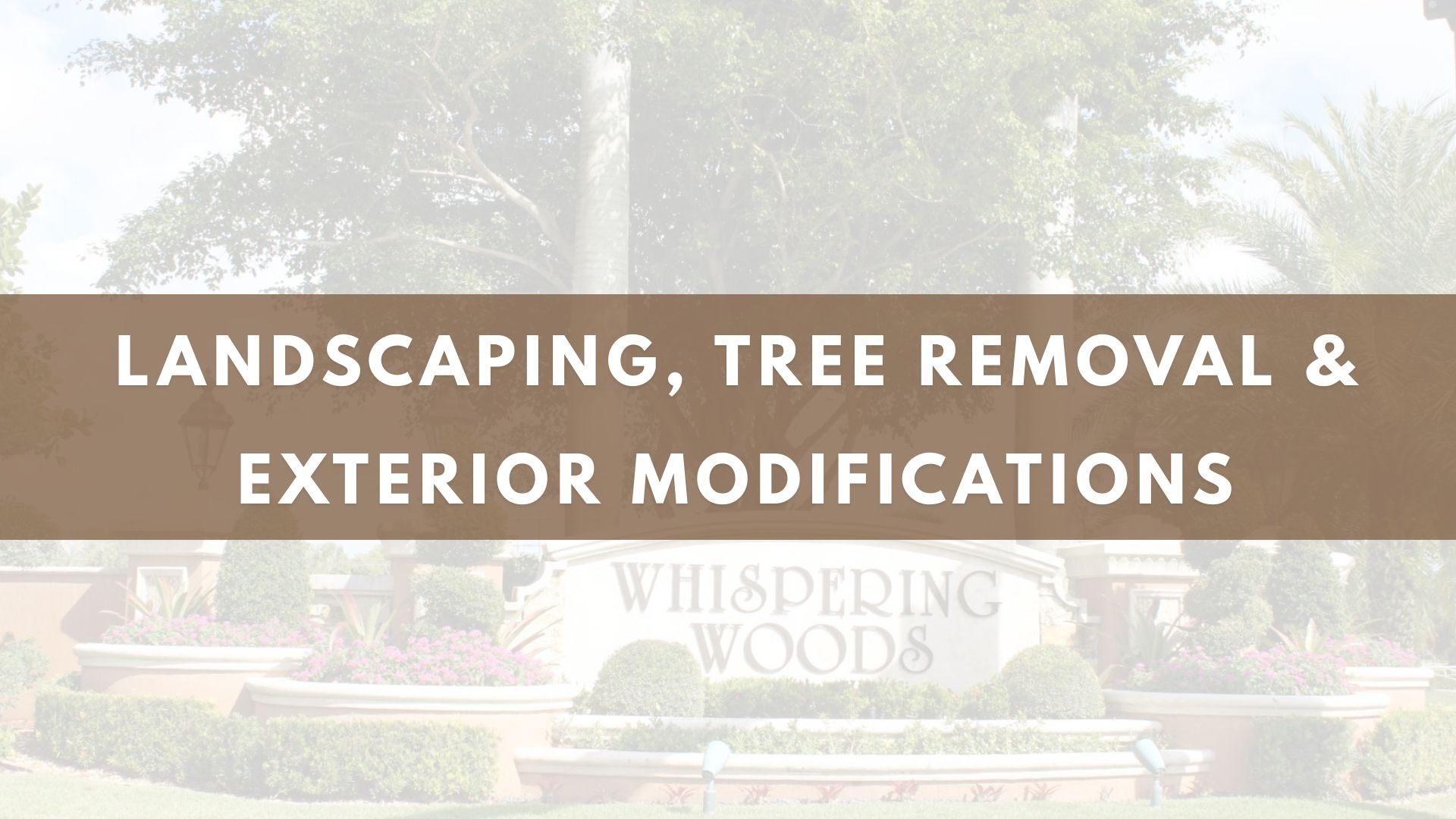 Landscaping, Tree Removal & Exterior Modifications