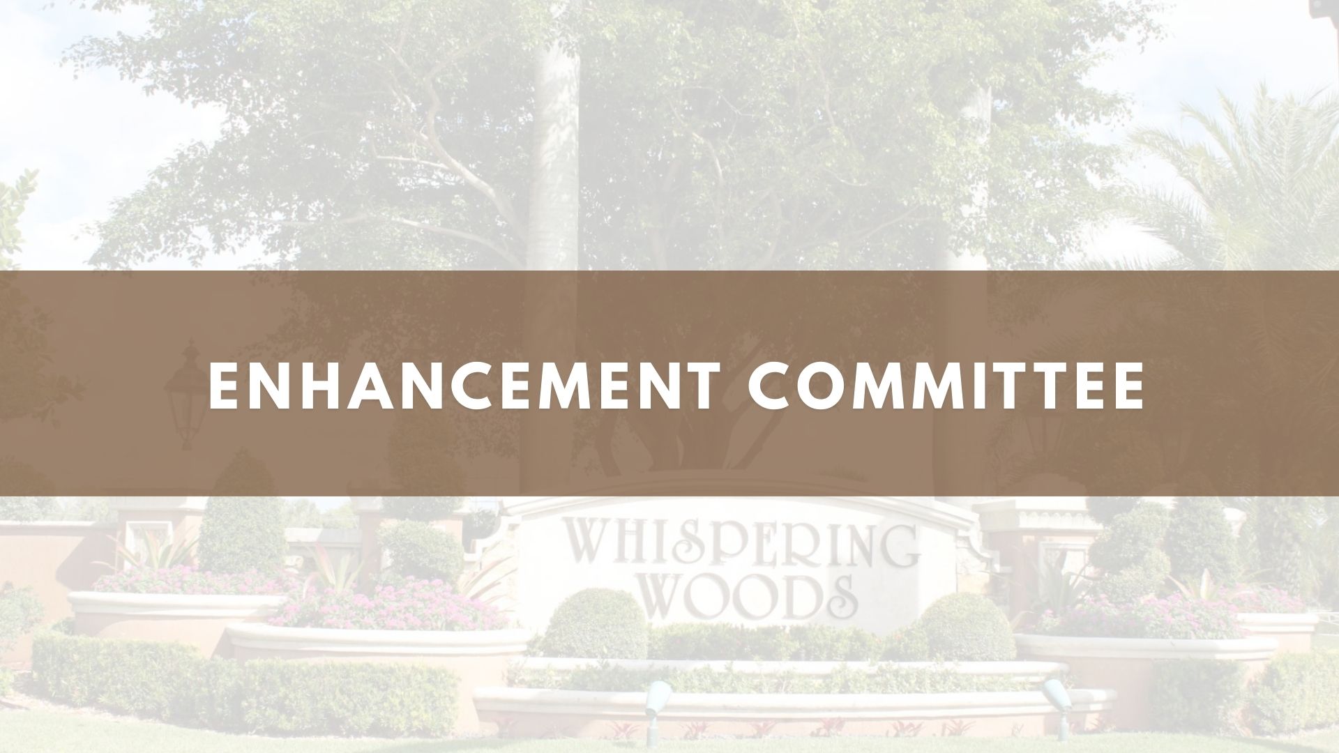 Community Enhancement Committee