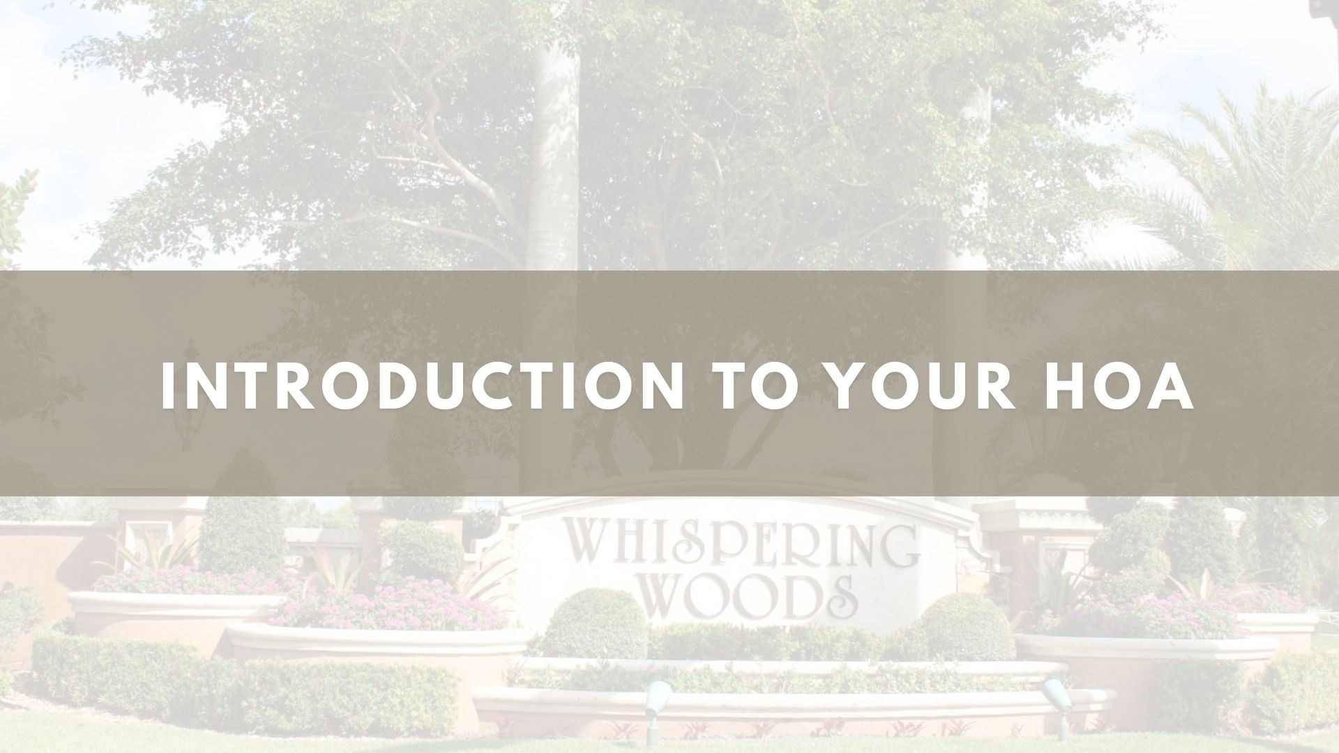 Introduction to Your HOA