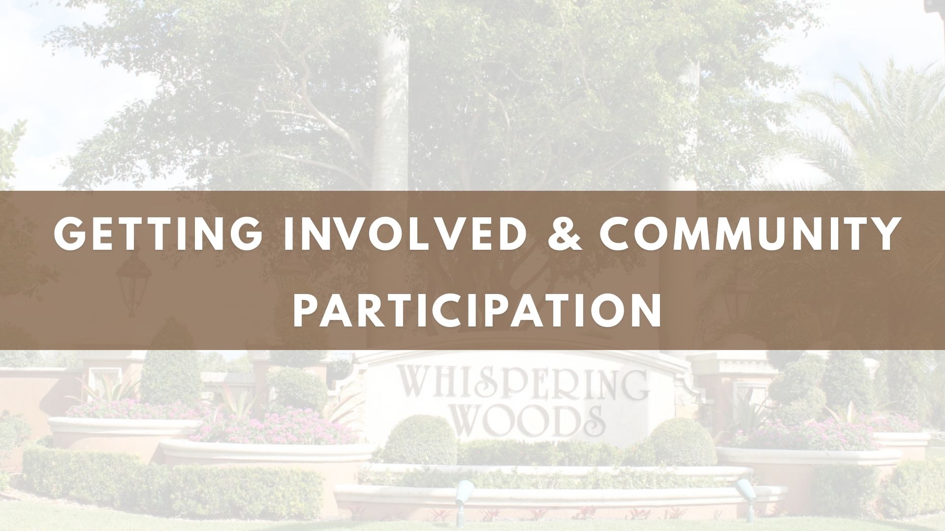 Getting Involved & Community Participation